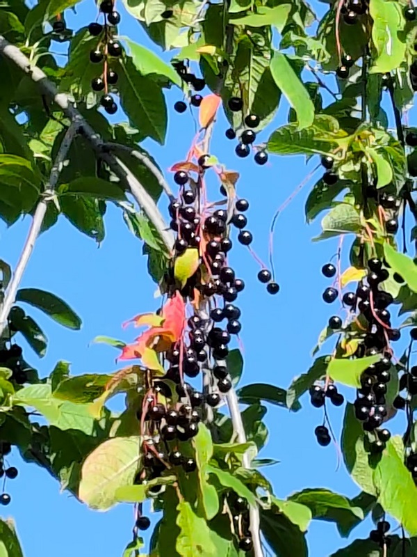 �������������